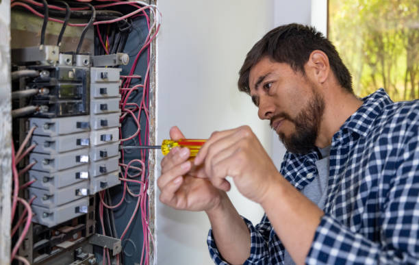 Best Electrician for Home Renovation  in Hartland, WI